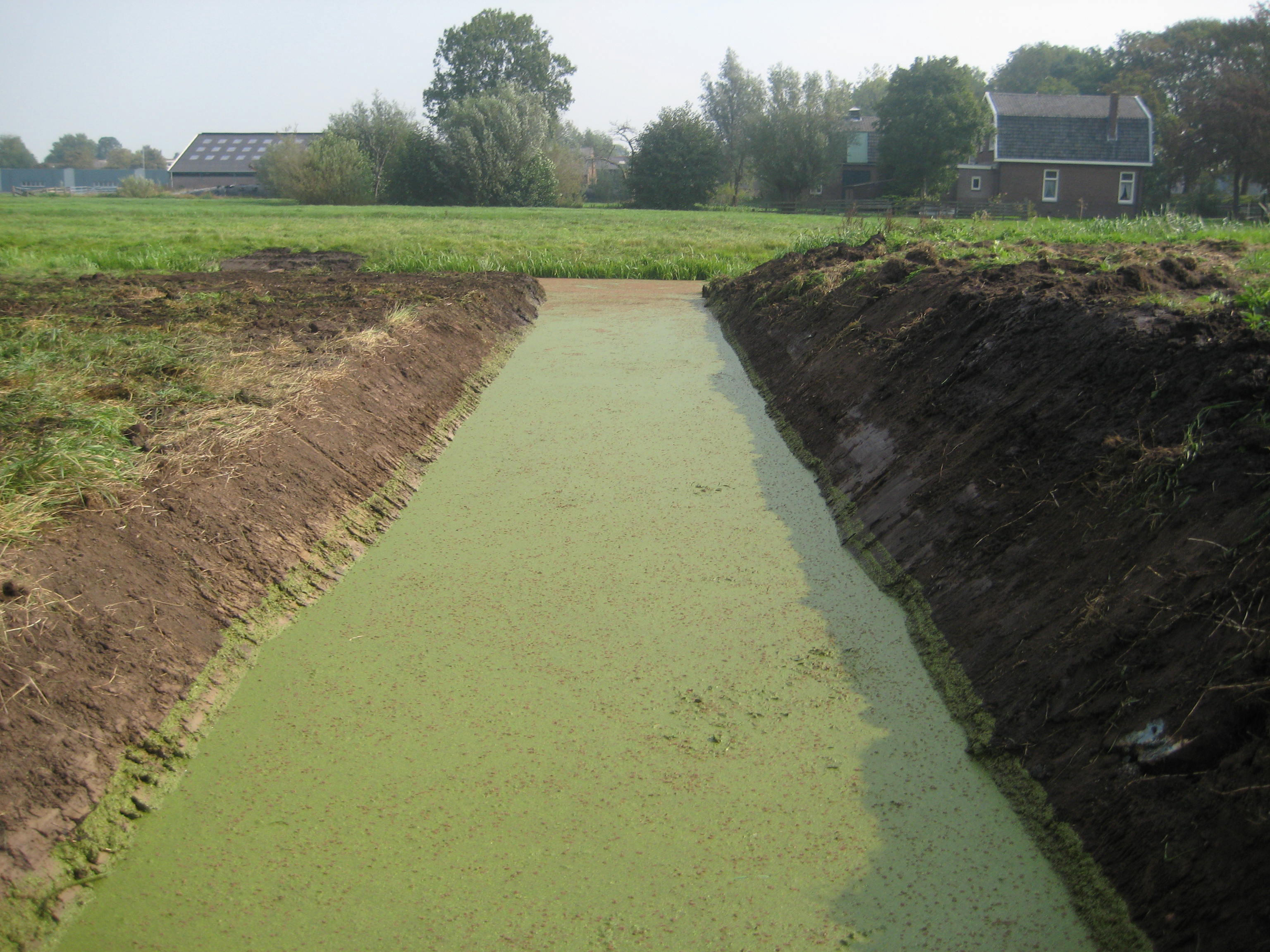 M van Vliet loon en verhuur 013